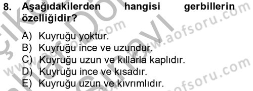 Laboratuvar Hayvanlarını Yetiştirme ve Sağlığı Dersi 2012 - 2013 Yılı (Final) Dönem Sonu Sınav Soruları 8. Soru