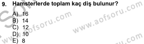 Laboratuvar Hayvanlarını Yetiştirme ve Sağlığı Dersi 2012 - 2013 Yılı (Final) Dönem Sonu Sınav Soruları 9. Soru