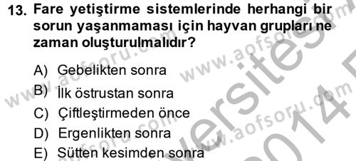 Laboratuvar Hayvanlarını Yetiştirme ve Sağlığı Dersi 2013 - 2014 Yılı (Vize) Ara Sınav Soruları 13. Soru