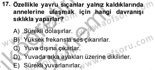 Laboratuvar Hayvanlarını Yetiştirme ve Sağlığı Dersi 2013 - 2014 Yılı (Vize) Ara Sınav Soruları 17. Soru
