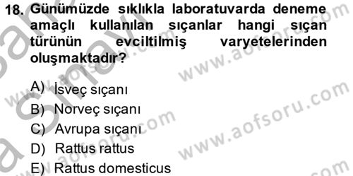Laboratuvar Hayvanlarını Yetiştirme ve Sağlığı Dersi 2013 - 2014 Yılı (Vize) Ara Sınav Soruları 18. Soru