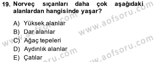 Laboratuvar Hayvanlarını Yetiştirme ve Sağlığı Dersi 2013 - 2014 Yılı (Vize) Ara Sınav Soruları 19. Soru