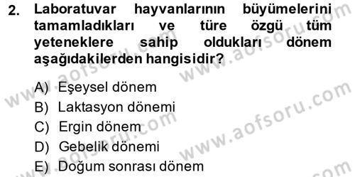 Laboratuvar Hayvanlarını Yetiştirme ve Sağlığı Dersi 2013 - 2014 Yılı (Vize) Ara Sınav Soruları 2. Soru