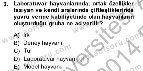 Laboratuvar Hayvanlarını Yetiştirme ve Sağlığı Dersi 2013 - 2014 Yılı (Vize) Ara Sınav Soruları 3. Soru