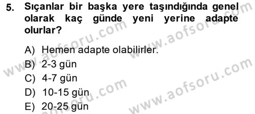 Laboratuvar Hayvanlarını Yetiştirme ve Sağlığı Dersi 2013 - 2014 Yılı (Vize) Ara Sınav Soruları 5. Soru