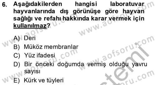 Laboratuvar Hayvanlarını Yetiştirme ve Sağlığı Dersi 2013 - 2014 Yılı (Vize) Ara Sınav Soruları 6. Soru