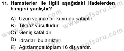 Laboratuvar Hayvanlarını Yetiştirme ve Sağlığı Dersi 2013 - 2014 Yılı (Final) Dönem Sonu Sınav Soruları 11. Soru