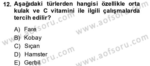Laboratuvar Hayvanlarını Yetiştirme ve Sağlığı Dersi 2013 - 2014 Yılı (Final) Dönem Sonu Sınav Soruları 12. Soru