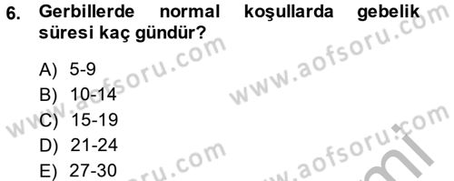 Laboratuvar Hayvanlarını Yetiştirme ve Sağlığı Dersi 2013 - 2014 Yılı (Final) Dönem Sonu Sınav Soruları 6. Soru
