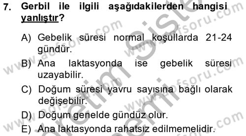 Laboratuvar Hayvanlarını Yetiştirme ve Sağlığı Dersi 2013 - 2014 Yılı (Final) Dönem Sonu Sınav Soruları 7. Soru