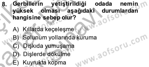 Laboratuvar Hayvanlarını Yetiştirme ve Sağlığı Dersi 2013 - 2014 Yılı (Final) Dönem Sonu Sınav Soruları 8. Soru
