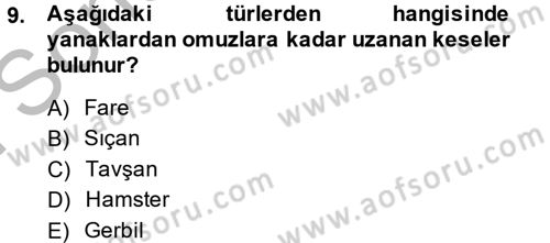 Laboratuvar Hayvanlarını Yetiştirme ve Sağlığı Dersi 2013 - 2014 Yılı (Final) Dönem Sonu Sınav Soruları 9. Soru