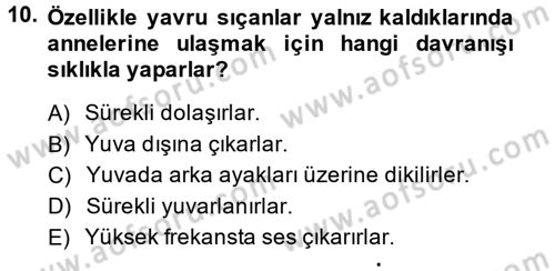 Laboratuvar Hayvanlarını Yetiştirme ve Sağlığı Dersi 2013 - 2014 Yılı Tek Ders Sınav Soruları 10. Soru