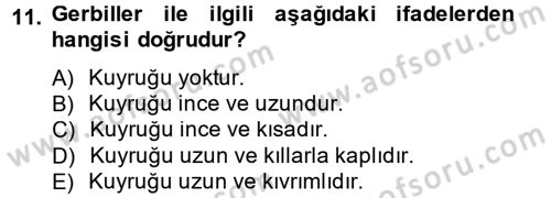 Laboratuvar Hayvanlarını Yetiştirme ve Sağlığı Dersi 2013 - 2014 Yılı Tek Ders Sınav Soruları 11. Soru