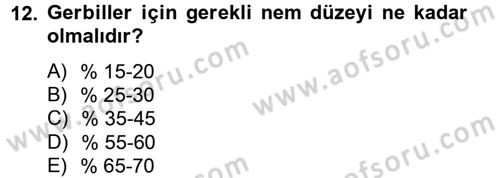 Laboratuvar Hayvanlarını Yetiştirme ve Sağlığı Dersi 2013 - 2014 Yılı Tek Ders Sınav Soruları 12. Soru