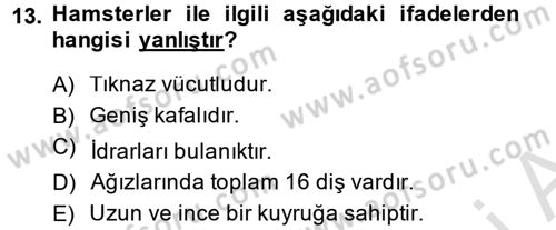 Laboratuvar Hayvanlarını Yetiştirme ve Sağlığı Dersi 2013 - 2014 Yılı Tek Ders Sınav Soruları 13. Soru