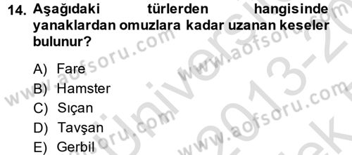Laboratuvar Hayvanlarını Yetiştirme ve Sağlığı Dersi 2013 - 2014 Yılı Tek Ders Sınav Soruları 14. Soru