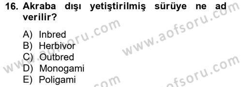Laboratuvar Hayvanlarını Yetiştirme ve Sağlığı Dersi 2013 - 2014 Yılı Tek Ders Sınav Soruları 16. Soru
