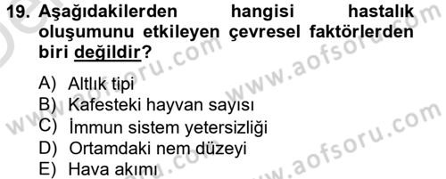 Laboratuvar Hayvanlarını Yetiştirme ve Sağlığı Dersi 2013 - 2014 Yılı Tek Ders Sınav Soruları 19. Soru