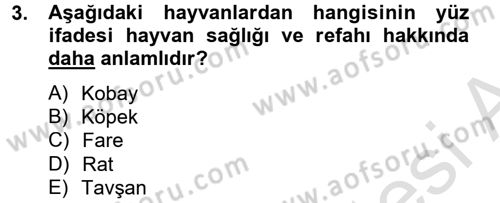 Laboratuvar Hayvanlarını Yetiştirme ve Sağlığı Dersi 2013 - 2014 Yılı Tek Ders Sınav Soruları 3. Soru
