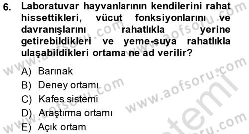 Laboratuvar Hayvanlarını Yetiştirme ve Sağlığı Dersi 2013 - 2014 Yılı Tek Ders Sınav Soruları 6. Soru