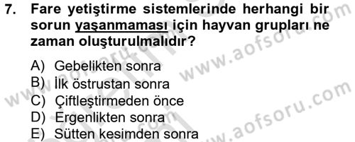 Laboratuvar Hayvanlarını Yetiştirme ve Sağlığı Dersi 2013 - 2014 Yılı Tek Ders Sınav Soruları 7. Soru