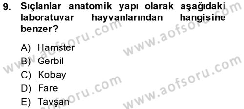 Laboratuvar Hayvanlarını Yetiştirme ve Sağlığı Dersi 2013 - 2014 Yılı Tek Ders Sınav Soruları 9. Soru