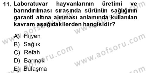 Laboratuvar Hayvanlarını Yetiştirme ve Sağlığı Dersi 2014 - 2015 Yılı (Vize) Ara Sınav Soruları 11. Soru