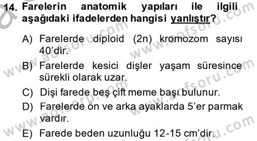 Laboratuvar Hayvanlarını Yetiştirme ve Sağlığı Dersi 2014 - 2015 Yılı (Vize) Ara Sınav Soruları 14. Soru