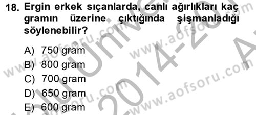 Laboratuvar Hayvanlarını Yetiştirme ve Sağlığı Dersi 2014 - 2015 Yılı (Vize) Ara Sınav Soruları 18. Soru