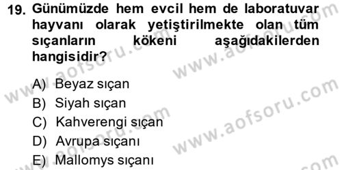 Laboratuvar Hayvanlarını Yetiştirme ve Sağlığı Dersi 2014 - 2015 Yılı (Vize) Ara Sınav Soruları 19. Soru