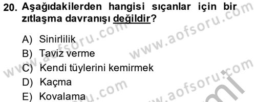 Laboratuvar Hayvanlarını Yetiştirme ve Sağlığı Dersi 2014 - 2015 Yılı (Vize) Ara Sınav Soruları 20. Soru