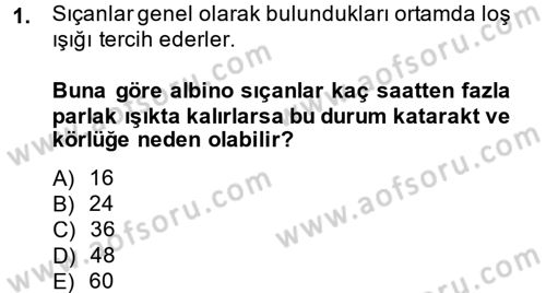 Laboratuvar Hayvanlarını Yetiştirme ve Sağlığı Dersi 2014 - 2015 Yılı (Final) Dönem Sonu Sınav Soruları 1. Soru