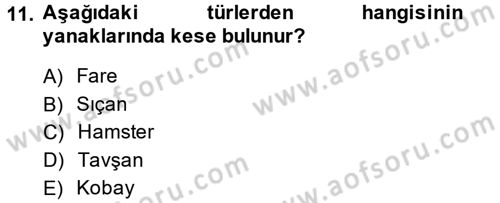 Laboratuvar Hayvanlarını Yetiştirme ve Sağlığı Dersi 2014 - 2015 Yılı (Final) Dönem Sonu Sınav Soruları 11. Soru