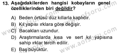Laboratuvar Hayvanlarını Yetiştirme ve Sağlığı Dersi 2014 - 2015 Yılı (Final) Dönem Sonu Sınav Soruları 13. Soru