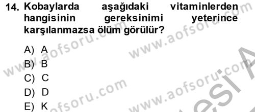 Laboratuvar Hayvanlarını Yetiştirme ve Sağlığı Dersi 2014 - 2015 Yılı (Final) Dönem Sonu Sınav Soruları 14. Soru
