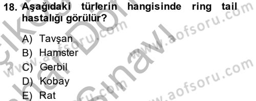 Laboratuvar Hayvanlarını Yetiştirme ve Sağlığı Dersi 2014 - 2015 Yılı (Final) Dönem Sonu Sınav Soruları 18. Soru