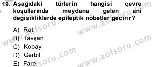 Laboratuvar Hayvanlarını Yetiştirme ve Sağlığı Dersi 2014 - 2015 Yılı (Final) Dönem Sonu Sınav Soruları 19. Soru