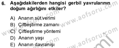 Laboratuvar Hayvanlarını Yetiştirme ve Sağlığı Dersi 2014 - 2015 Yılı (Final) Dönem Sonu Sınav Soruları 6. Soru