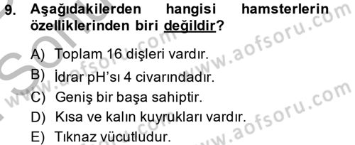 Laboratuvar Hayvanlarını Yetiştirme ve Sağlığı Dersi 2014 - 2015 Yılı (Final) Dönem Sonu Sınav Soruları 9. Soru