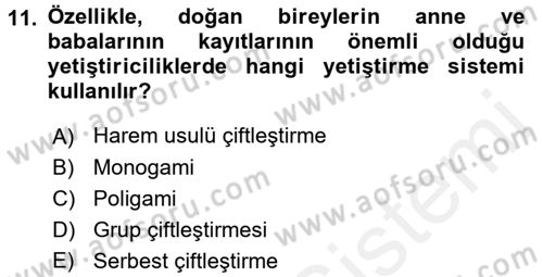 Laboratuvar Hayvanlarını Yetiştirme ve Sağlığı Dersi 2015 - 2016 Yılı (Vize) Ara Sınav Soruları 11. Soru