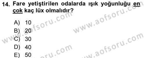 Laboratuvar Hayvanlarını Yetiştirme ve Sağlığı Dersi 2015 - 2016 Yılı (Vize) Ara Sınav Soruları 14. Soru