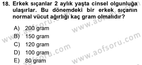 Laboratuvar Hayvanlarını Yetiştirme ve Sağlığı Dersi 2015 - 2016 Yılı (Vize) Ara Sınav Soruları 18. Soru