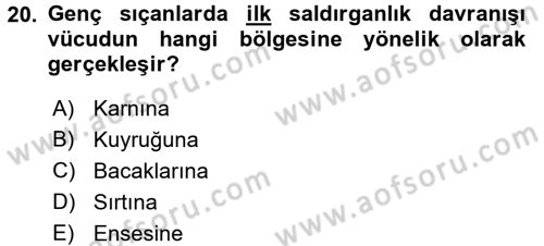 Laboratuvar Hayvanlarını Yetiştirme ve Sağlığı Dersi 2015 - 2016 Yılı (Vize) Ara Sınav Soruları 20. Soru