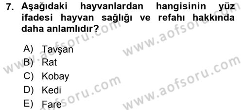 Laboratuvar Hayvanlarını Yetiştirme ve Sağlığı Dersi 2015 - 2016 Yılı (Vize) Ara Sınav Soruları 7. Soru