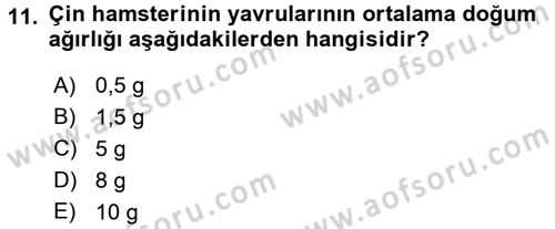 Laboratuvar Hayvanlarını Yetiştirme ve Sağlığı Dersi 2015 - 2016 Yılı (Final) Dönem Sonu Sınav Soruları 11. Soru