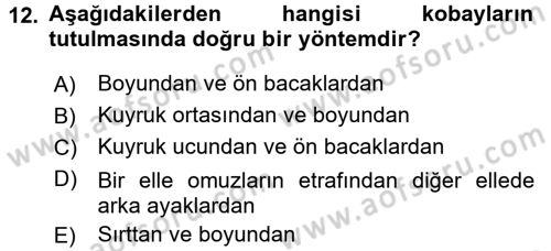 Laboratuvar Hayvanlarını Yetiştirme ve Sağlığı Dersi 2015 - 2016 Yılı (Final) Dönem Sonu Sınav Soruları 12. Soru
