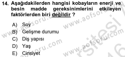 Laboratuvar Hayvanlarını Yetiştirme ve Sağlığı Dersi 2015 - 2016 Yılı (Final) Dönem Sonu Sınav Soruları 14. Soru