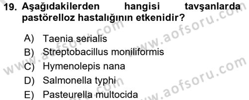 Laboratuvar Hayvanlarını Yetiştirme ve Sağlığı Dersi 2015 - 2016 Yılı (Final) Dönem Sonu Sınav Soruları 19. Soru