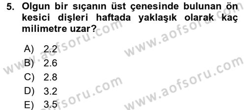 Laboratuvar Hayvanlarını Yetiştirme ve Sağlığı Dersi 2015 - 2016 Yılı (Final) Dönem Sonu Sınav Soruları 5. Soru